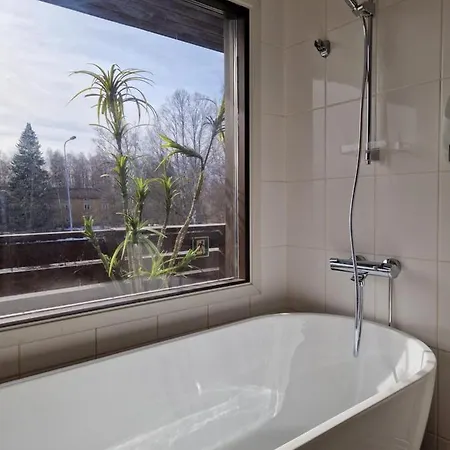 Botnia Hotel&restaurant 3* Kruunupyy