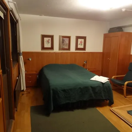 Botnia Hotel&restaurant Hotel Kruunupyy