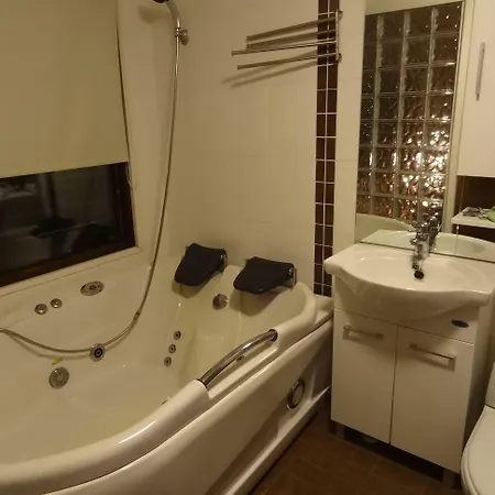 Botnia Hotel&restaurant Kruunupyy