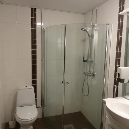 Botnia Hotel&restaurant Hotel 3*