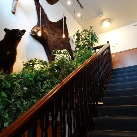 Botnia & Restaurant Hotel 3*