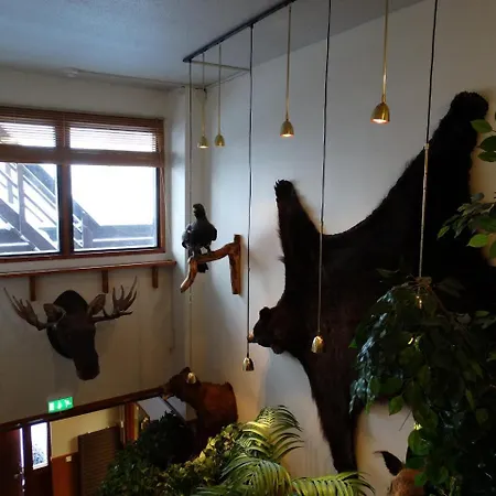 Botnia Hotel&restaurant Kruunupyy