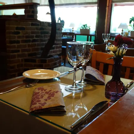 Hotel Botnia & Restaurant 3*